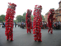 Chinese New Year Lion Dancers